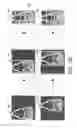 Fig. 16 - Product category optimization for image similarity searching of image-based listings in a network-based publication system