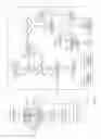Fig. 10 - Method and System for Improved Communication Network Setup