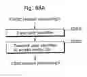 Fig. 92 - Health care system