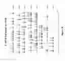 Fig. 02 - ANTIBODY PRODUCTION