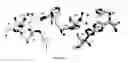 Fig. 06 - ENZYMES AND METHODS FOR HYDROLYSING PHENYLUREAS, CARBAMATES AND ORGANOPHOSPHATES