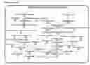 Fig. 09 - SCREENING METHOD FOR IDENTIFYING GENES INVOLVED IN PLANT CELL CYCLE