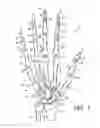 Fig. 02 - Work Glove