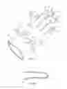 Fig. 02 - Horseback riding training glove