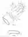 Fig. 09 - Horseback riding training glove