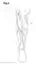 Fig. 07 - Leg garment