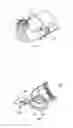 Fig. 08 - Shearing Tool