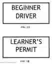 Fig. 06 - DRIVER LEVEL INDICATION METHOD AND SYSTEM, AND DRIVER LEVEL INDICATOR