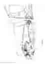 Fig. 07 - Crop pick-up assembly