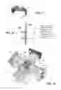 Fig. 09 - SYSTEM AND METHOD FOR THE OPTICAL DETECTION OF AEROSOLS