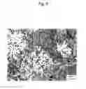 Fig. 07 - Mg-base alloy