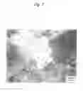 Fig. 08 - Mg-base alloy