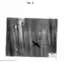 Fig. 09 - Mg-base alloy