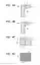 Fig. 05 - MANUFACTURING METHOD OF HERMETIC CONTAINER, AND MANUFACTURING METHOD OF IMAGE DISPLAYING APPARATUS