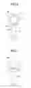 Fig. 07 - Lubrication structure for working device