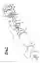 Fig. 02 - Lubricant dispenser