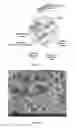 Fig. 02 - Sensors for analyte detection and methods of manufacture thereof