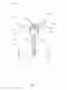 Fig. 02 - Multiple Straw Fluid Dispenser