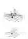 Fig. 09 - CARGO RETAINER DEVICE FOR VEHICLE