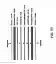 Fig. 09 - Infrared blocking article