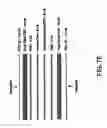 Fig. 10 - Infrared blocking article