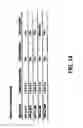 Fig. 23 - Infrared blocking article