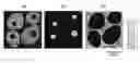Fig. 01 - Method of forming mass image