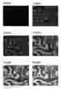 Fig. 09 - Electron microscope device