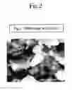 Fig. 03 - PRODUCTION PROCESS FOR LITHIUM-BORATE-SYSTEM COMPOUND