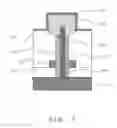 Fig. 06 - Nanoelectronic structure and method of producing such