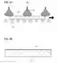 Fig. 05 - SOI substrate and manufacturing method thereof