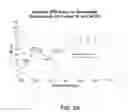 Fig. 07 - Atomic layer deposition of chemical passivation layers and high performance anti-reflection coatings on back-illuminated detectors