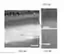 Fig. 09 - Atomic layer deposition of chemical passivation layers and high performance anti-reflection coatings on back-illuminated detectors