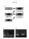 Fig. 06 - Method of mounting electronic component and mounting substrate