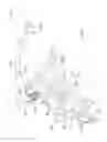 Fig. 02 - Boat coupling