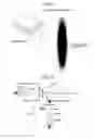 Fig. 06 - Optical scanning device and image forming apparatus including a plurality of scanned members