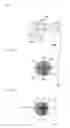 Fig. 07 - LIQUID CRYSTAL SHUTTER AND LIQUID CRYSTAL SHUTTER GLASSES