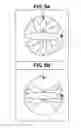 Fig. 06 - LIQUID CRYSTAL DISPLAY DEVICE