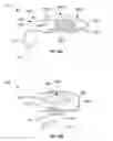 Fig. 47 - Ergonomic System For Compact Winding And Storage Of Earphone Set/Headphones Used With Digital Media Devices