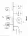 Fig. 06 - Propagating metadata associated with digital video