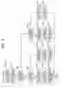 Fig. 10 - Image forming apparatus