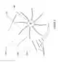Fig. 04 - APPARATUS, SYSTEM AND METHOD FOR A WIND TURBINE