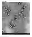 Fig. 06 - Porous metal oxide, method for producing the same, and use of the same