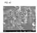 Fig. 28 - Porous metal oxide, method for producing the same, and use of the same