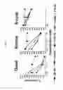 Fig. 06 - Modular method to prepare tetrameric cytokines with improved pharmacokinetics by the dock-and-lock (DNL) technology