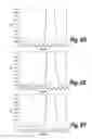 Fig. 08 - Methods and compositions for CNS delivery of iduronate-2-sulfatase