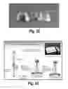 Fig. 45 - Methods and compositions for CNS delivery of iduronate-2-sulfatase
