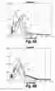 Fig. 08 - METHODS AND COMPOSITIONS FOR CNS DELIVERY OF B-GALACTOCEREBROSIDASE