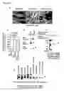Fig. 02 - Compositions and methods for causing neurite outgrowth