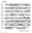 Fig. 09 - Compositions and methods for causing neurite outgrowth